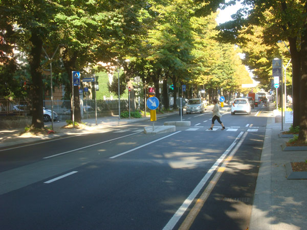 Esempio di fascia centrale a Reggio Emilia